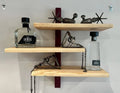 curio display